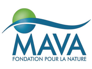 MAVA Foundation