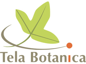 Tela Botanica